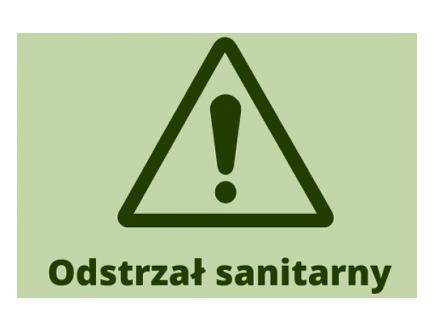 Odstrzał sanitarny dzików na terenie powiatu chełmskiego