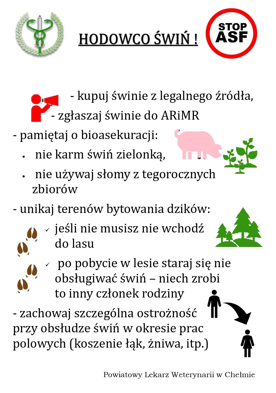Zakup swiń tylko z aktualnym świadectwem zdrowia